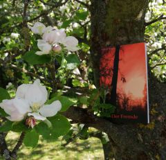 Der Fremde - Buch im Baum